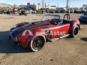 Other Kit Car